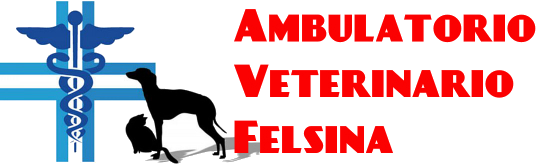 Ambulatorio Veterinario Felsina