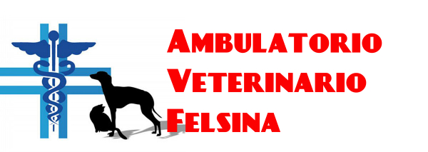ambulatorio-veterinario_400-01